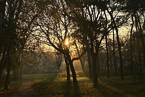 Nadchodzi najkrótszy dzień w 2025 roku. Sprawdź, kiedy przypadnie-25590