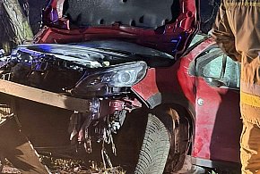 Płońszczanin chciał uniknąć zderzenia z sarną-25614