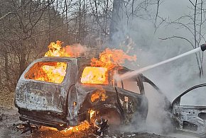 Niebezpieczne zdarzenie na drodze w gminie Sochocin-25696