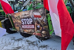 Jak nie uda się zablokować umowy z Mercosur, będziemy zabiegać o klauzule osłonowe-25822