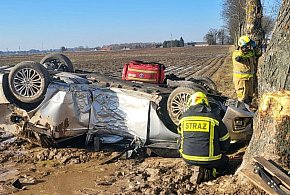Ford uderzył w drzewo i dachował. Kierowca w szpitalu