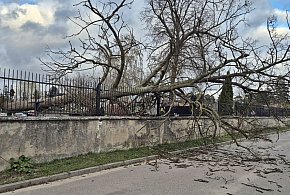 Jest już spokojniej, ale wczoraj wiatr dawał się jeszcze we znaki