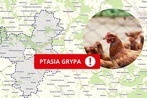 Obszar zapowietrzony i miejsca zagrożone grypą ptaków