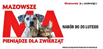 Samorząd Mazowsza pomoże bezdomnym zwierzętom
