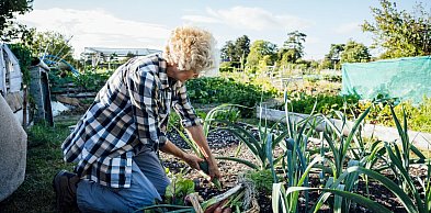 Rusza nabór do programu „Mazowsze dla działkowców”