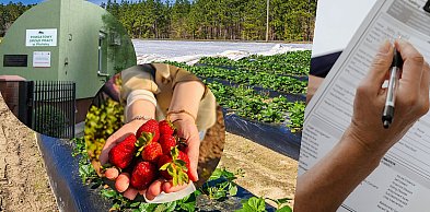 Co z zatrudnieniem obcokrajowców? Nowa ustawa przysporzyła problemów