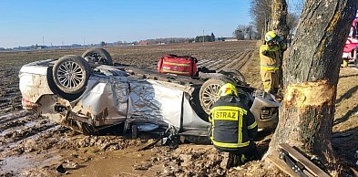 Ford uderzył w drzewo i dachował. Kierowca w szpitalu