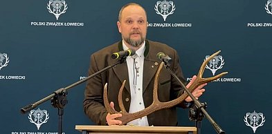 Sezon na leśne złoto