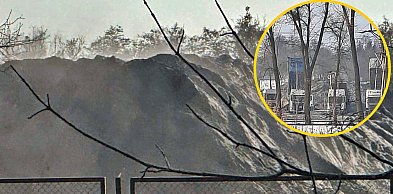 Sytuacja budzi niepokój mieszkańców: radna z interpelacją, Miasto reaguje