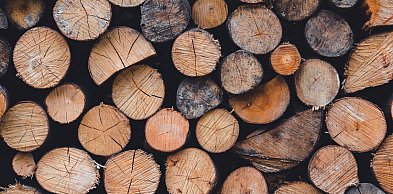 Używane maszyny stolarskie jako pomoc w Twoim zakładzie