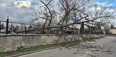 Jest już spokojniej, ale wczoraj wiatr dawał się jeszcze we znaki