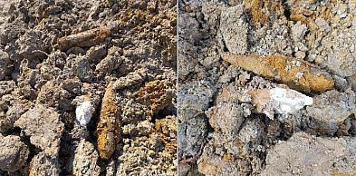 Groźne znalezisko w gminie Płońsk. Niewybuchy na posesji