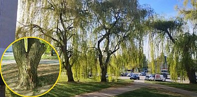 Mieszkańcy bloku przy Kolbego apelują do władz miasta. Inwestor komentuje