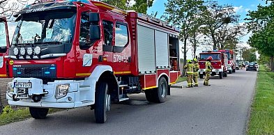 Zaśnięcie lub zasłabnięcie za kierownicą? Ford uderzył w drzewo w Starej Wronie