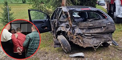 Uderzył policjantów, miał też nękać kobietę i znęcać się nad matką