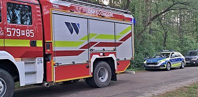 Bezbronne zwierzę na posesji. Policja zabezpieczyła małego lisa