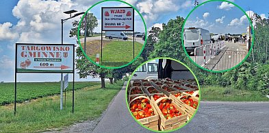 Czerwińska truskawka wróciła na targowisko. Sezon trudniejszy niż zwykle