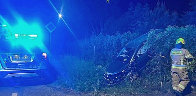Dzik wbiegł przed skodę. Zdarzenie drogowe na ulicy Warszawskiej w Czerwińsku