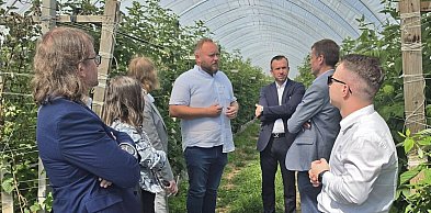 O przyszłości polskich owoców miękkich. Branża przedstawiła pięć postulatów