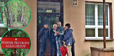 „To nasze miejsce od pokoleń”. Mieszkańcy bronią parku przed sprzedażą