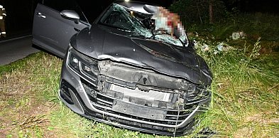 Gmina Sochocin: Kierowca volkswagena trafił do szpitala po zderzeniu auta z łosiem