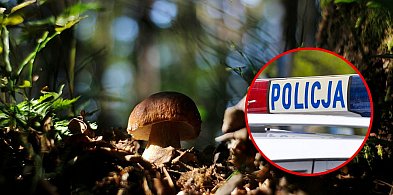 Małżeństwo zgubiło się w lesie podczas grzybobrania-24519