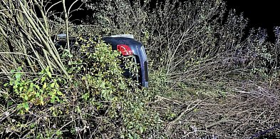 Bmw gwałtownie skręca, gdy przed pojazd wybiega sarna...-24666