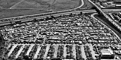 Kieszonkowcy grasują na płońskim targowisku-25371