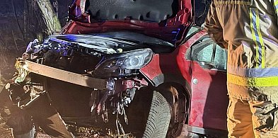 Płońszczanin chciał uniknąć zderzenia z sarną-25614