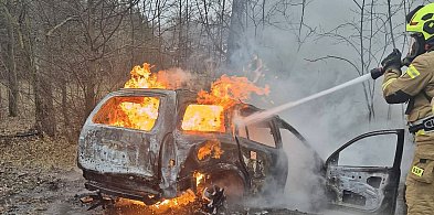 Niebezpieczne zdarzenie na drodze w gminie Sochocin-25696