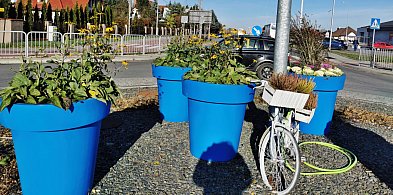 Przybędzie 2 800 nowych roślin, powstanie łąka kwietna