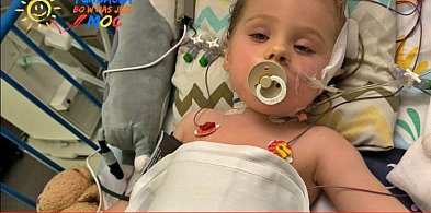 Nasza mała mieszkanka Aurelka potrzebuje pomocy...