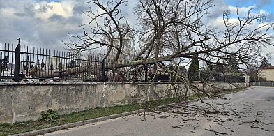 Jest już spokojniej, ale wczoraj wiatr dawał się jeszcze we znaki