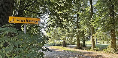 Ulica Postępu Rolniczego do gruntownego remontu-24084
