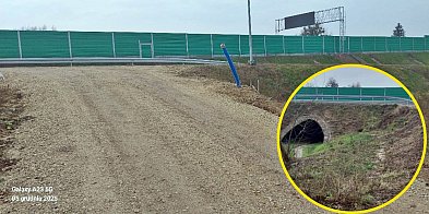 Sprawa zabezpieczeń i nawierzchni drogi S7 w gminie Załuski-25446