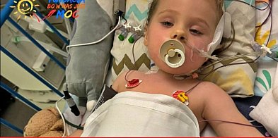 Nasza mała mieszkanka Aurelka potrzebuje pomocy