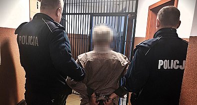 Siekierą zaatakował psa. Zwierzę nie żyje-24239