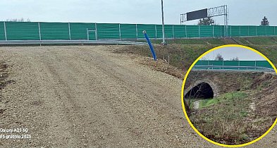 Sprawa zabezpieczeń i nawierzchni drogi S7 w gminie Załuski-25446