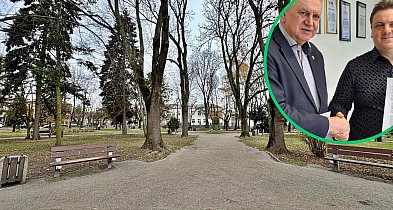 Zadbają o stare drzewa, ale posadzą też nowe. Ma być kolorowo i pachnąco-25879