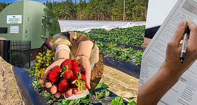 Co z zatrudnieniem obcokrajowców? Nowa ustawa przysporzyła problemów