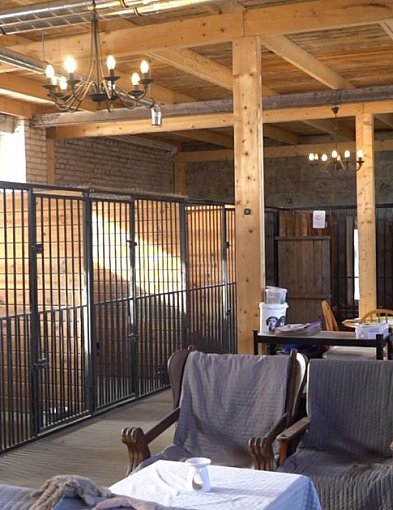 Najtrudniejszy w tej pracy jest widok skrzywdzonych zwierząt...