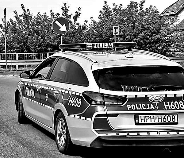 Policyjna kontrola: Ukrainiec może być zobligowany do opuszczenia Polski-24186
