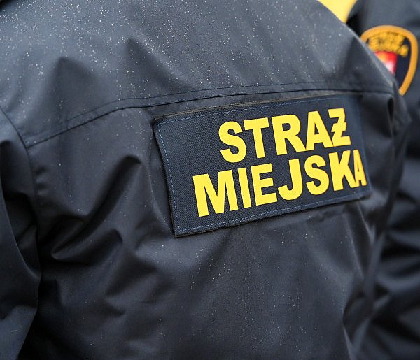Zapuka strażnik, zapłacisz karę. Ruszyły kontrole w całej Polsce-24569