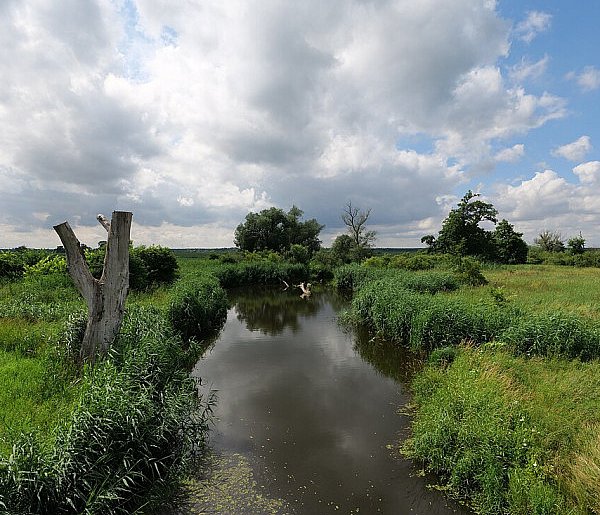 Co dalej z nowym parkiem narodowym? Minister klimatu zdradza plan po wecie-24990