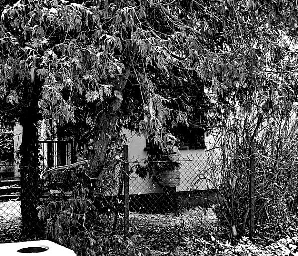 Tragedia w gminie Dzierzążnia. Nie żyje starsza kobieta-25146