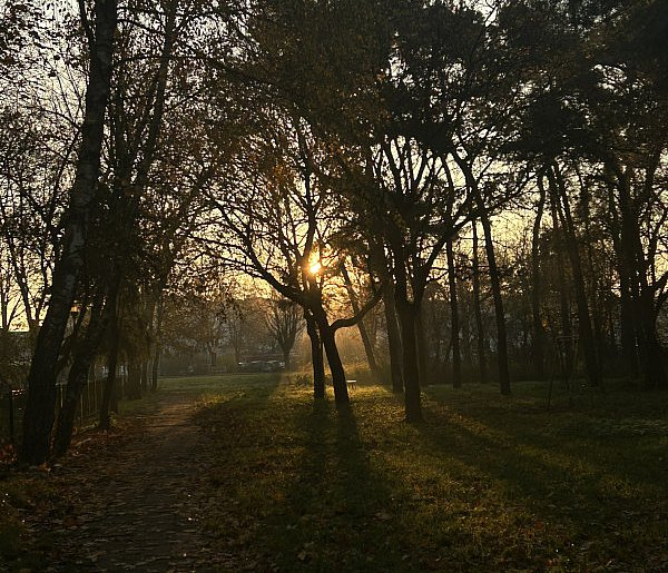 Nadchodzi najkrótszy dzień w 2025 roku. Sprawdź, kiedy przypadnie-25590