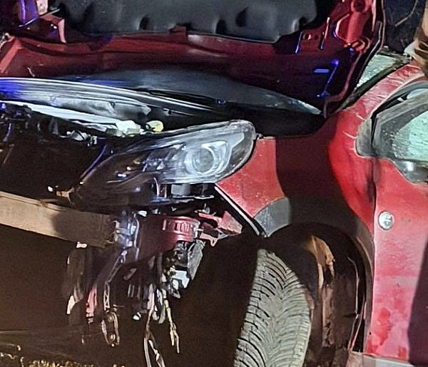 Płońszczanin chciał uniknąć zderzenia z sarną-25614