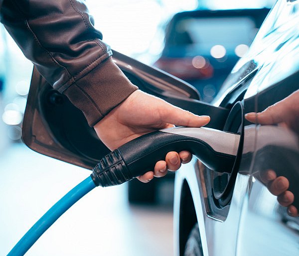 Coraz częściej dochodzi do takich kradzieży. Powody zaskakują-26001