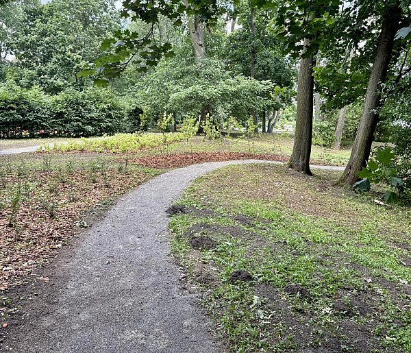 Przybędzie 2 800 nowych roślin, powstanie nowa łąka kwi