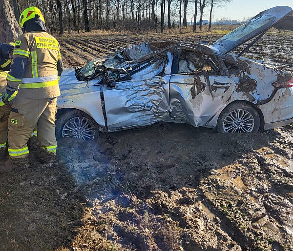 Ford uderzył w drzewo i dachował. Kierowca w szpitalu